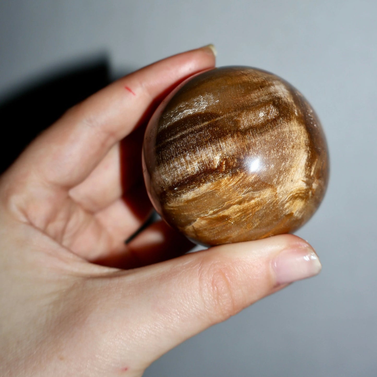 Tiger Eye Crystal Sphere – 2" Focus & Vitality Gemstone - Wax | Wane