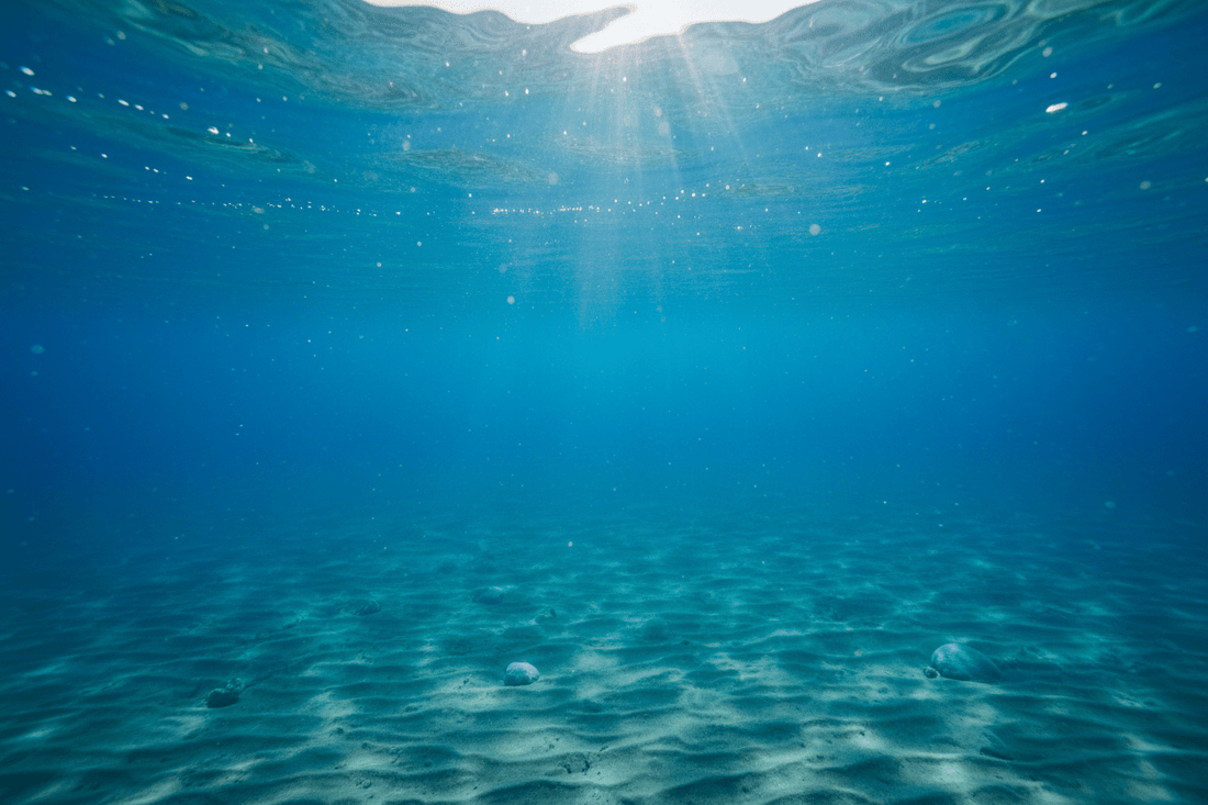 Ingredient Spotlight: Sea Water — The Ocean's Anti-Aging Secret for Radiant Skin - Wax | Wane