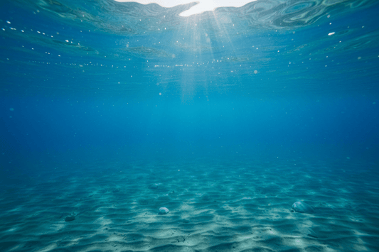 Ingredient Spotlight: Sea Water — The Ocean's Anti-Aging Secret for Radiant Skin - Wax | Wane