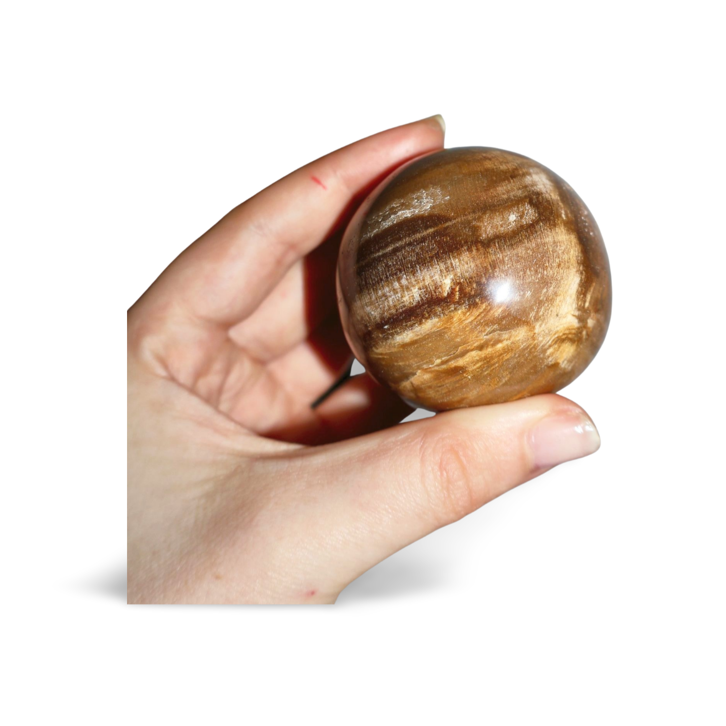 Tiger Eye Crystal Sphere – 2" Focus & Vitality Gemstone