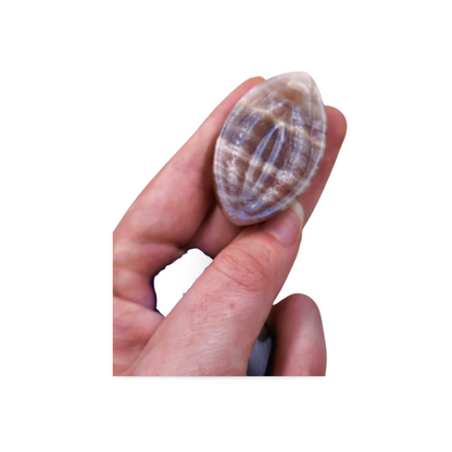 Moonstone Feminine Form Crystal | Pocket-Sized Anatomical Carving