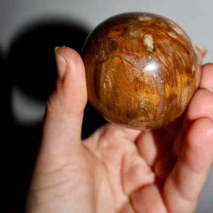 Tiger Eye Crystal Sphere – 2" Focus & Vitality Gemstone - Wax | Wane